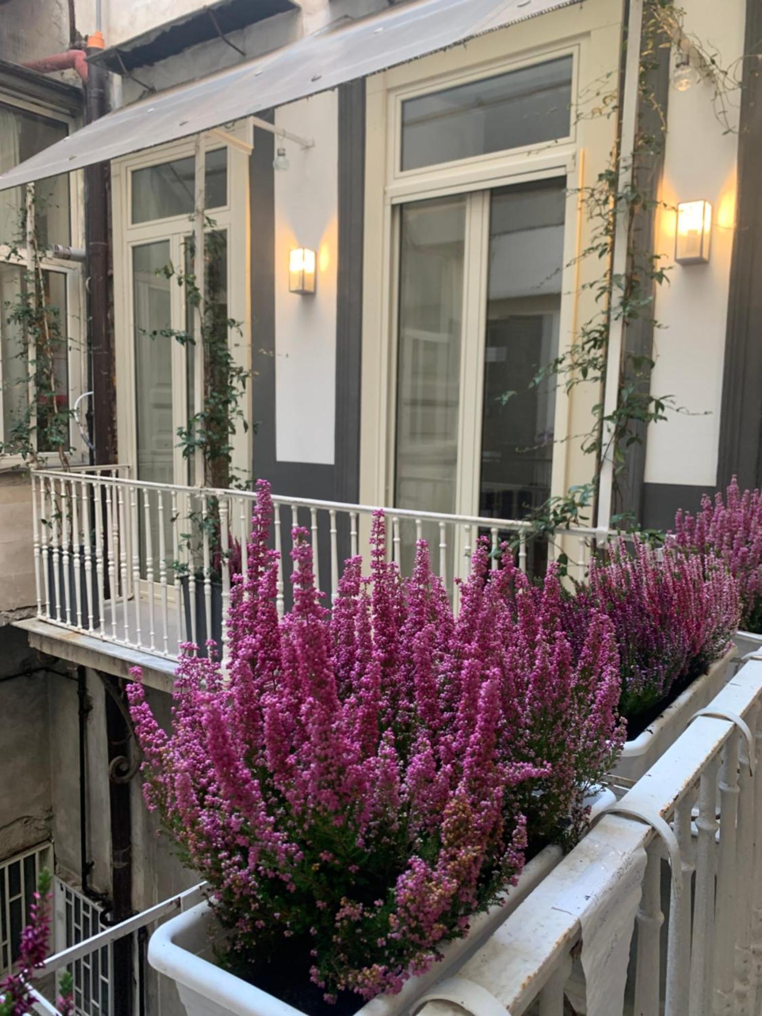 Casa Orlanda Apartment Naples Luaran gambar